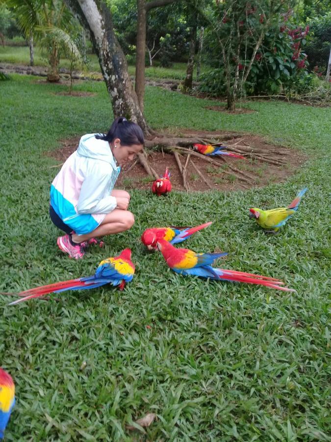 Hostel Orozco - Costa Rica Rio Cuarto Екстер'єр фото
