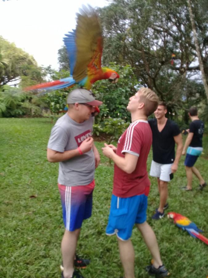 Hostel Orozco - Costa Rica Rio Cuarto Екстер'єр фото