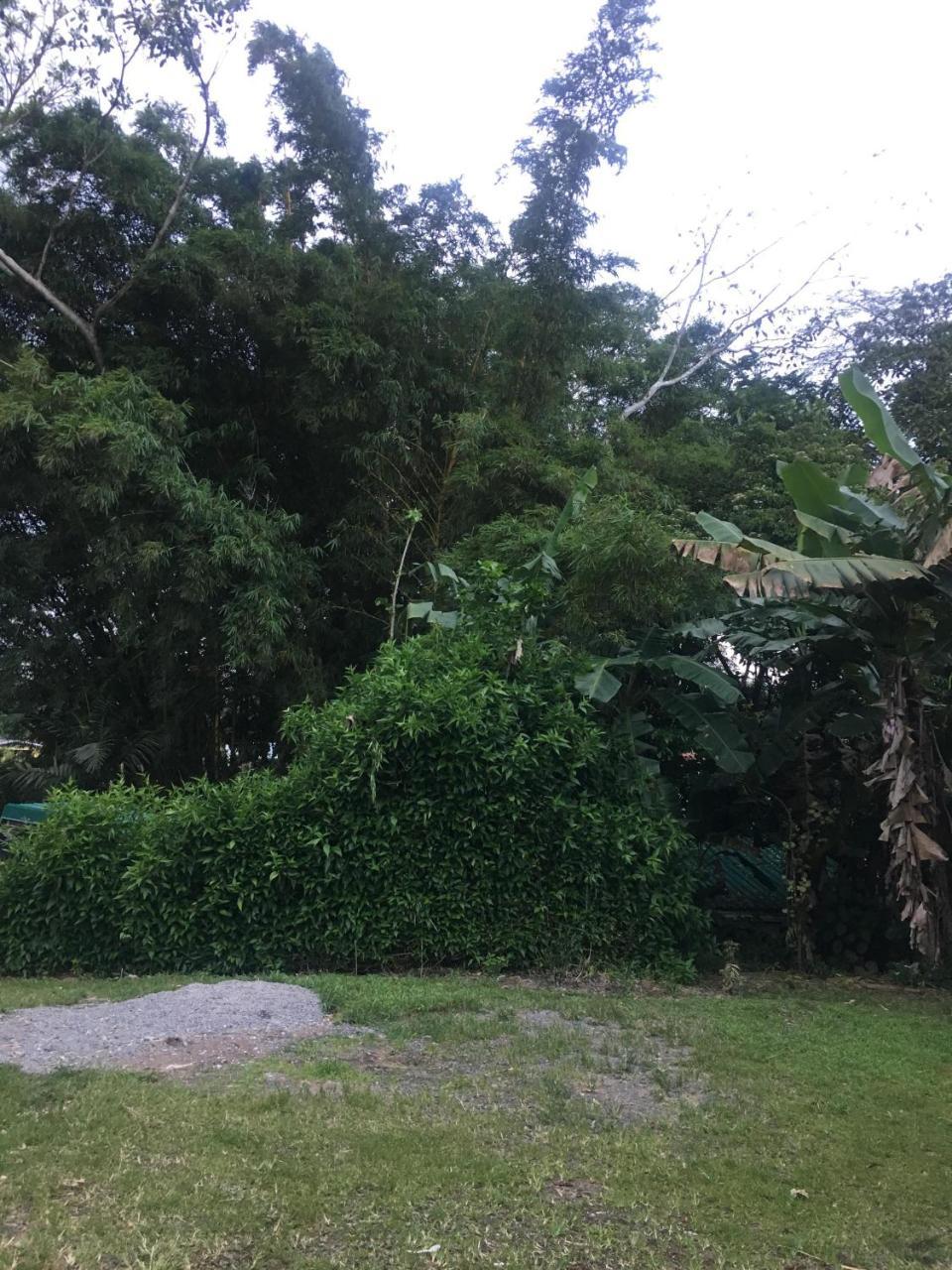 Hostel Orozco - Costa Rica Rio Cuarto Екстер'єр фото